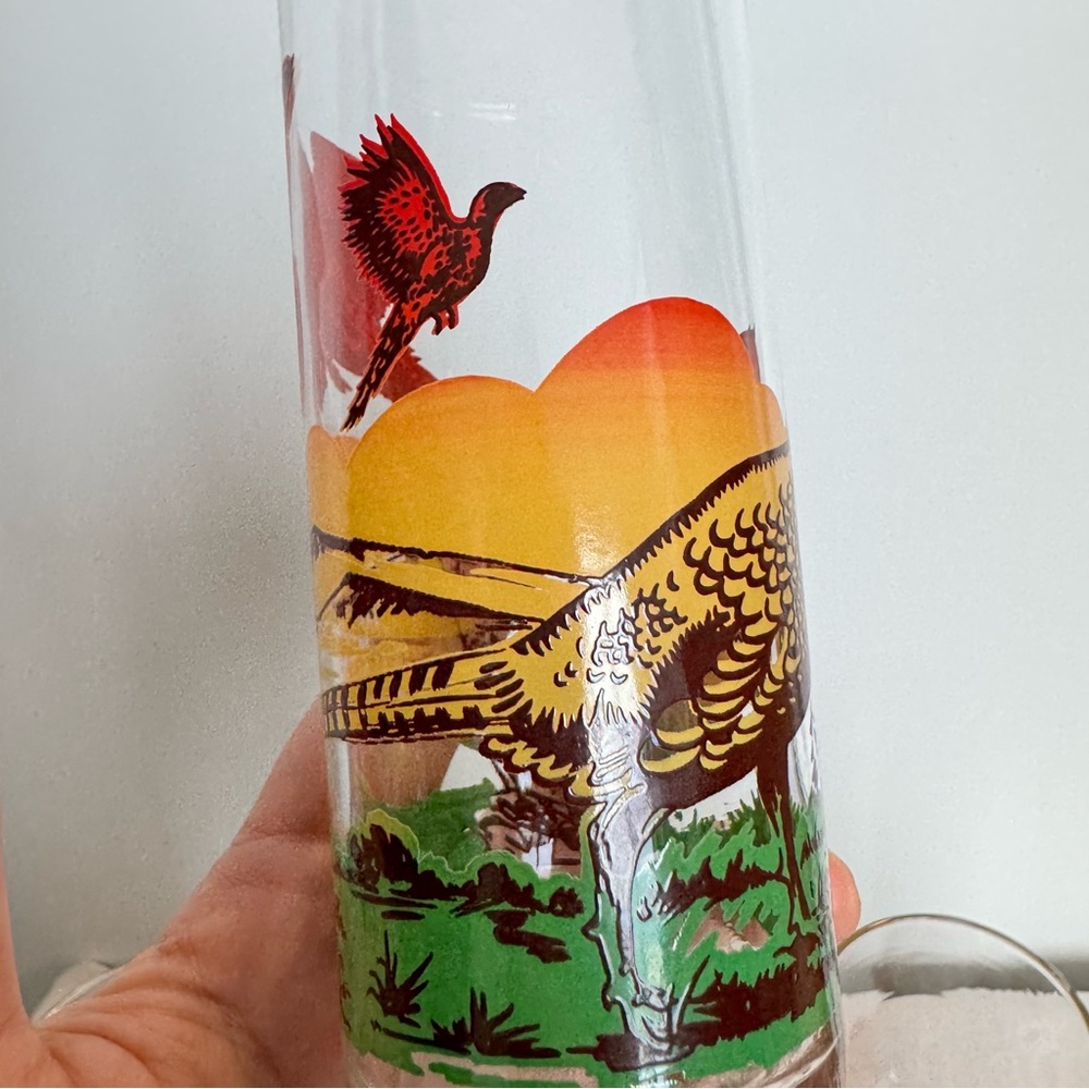 6 MCM Tom Collins Tumblers Tall Drinking Glasses Pheasant Hunting Scene - Picture 6 of 6